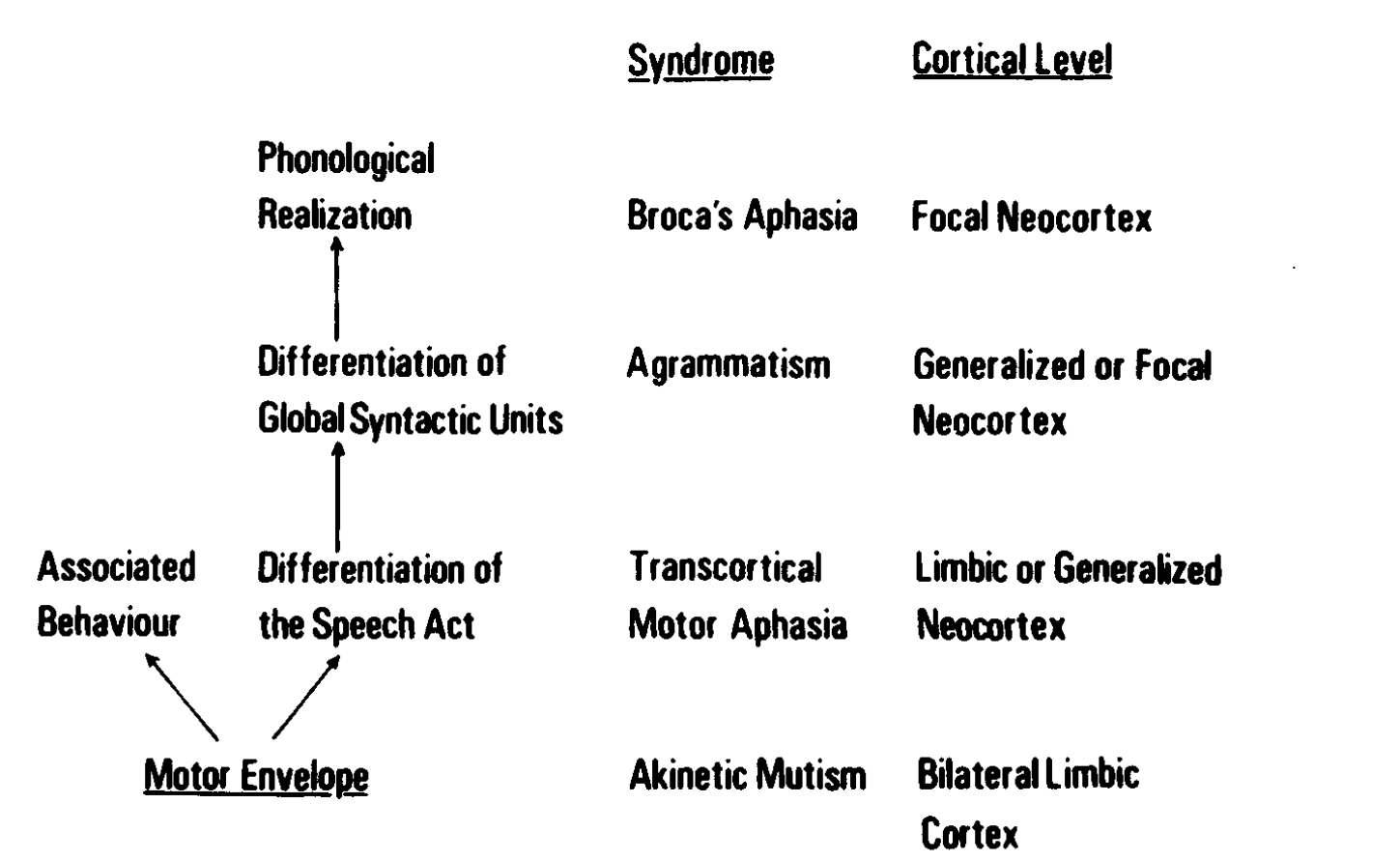 Brown's anterior production hierarchy
