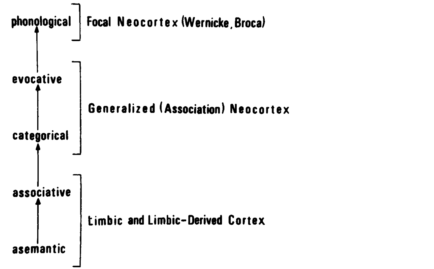 Brown's posterior comprehension hierarchy