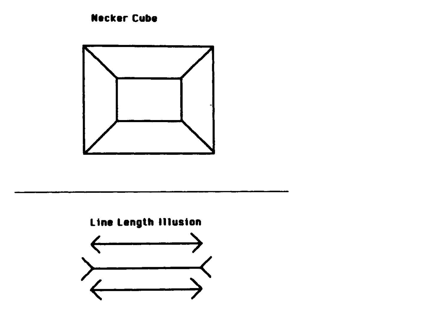 Perceptual illusions — the Necker cube and the line-length (Müller-Lyer) illusion