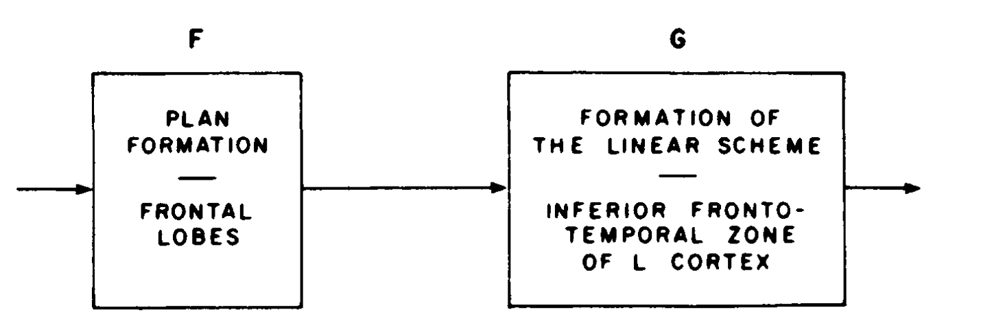 Luria's model of speech production: F Plan formation → G Linear scheme