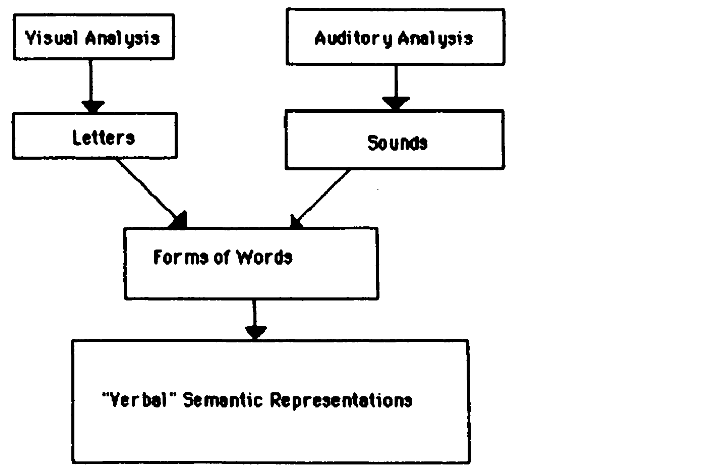 Lexical-semantic processing model
